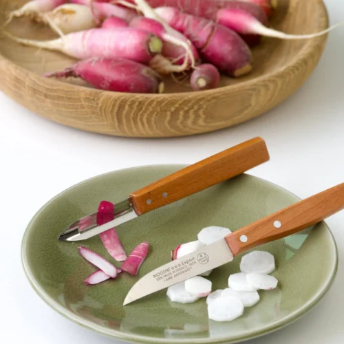 éplucheur-expert-affidenté-dans une assiette avec épluchure de radis